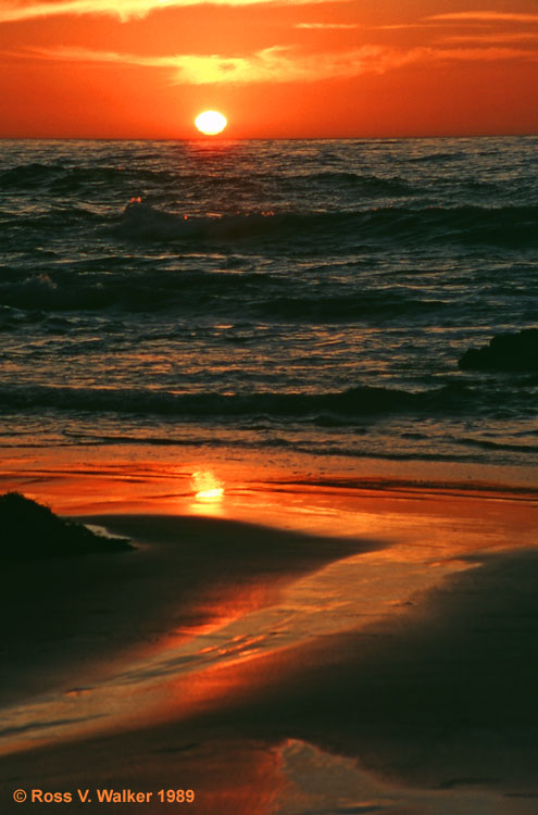 Sunset, Asilomar Beach, Pacific Grove, California