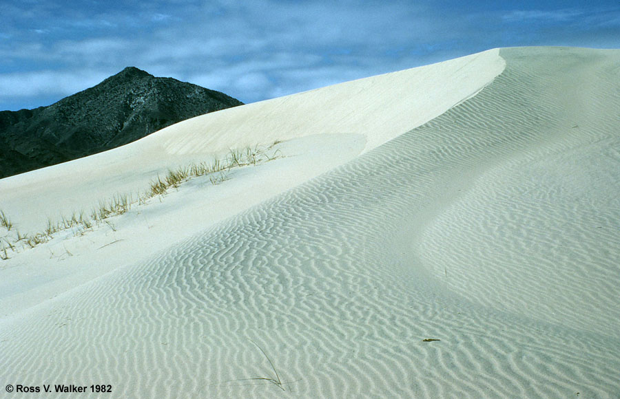 Kelso Dunes and Providence Mountains, Mojave National Preserve, California