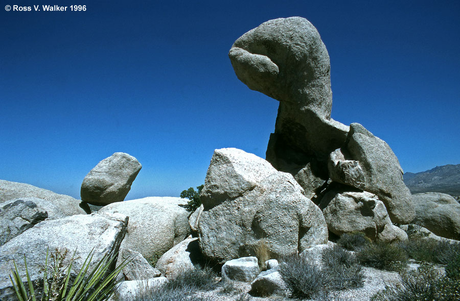 Rock Monster, Granite Mountains, Mojave National Preserve, California
