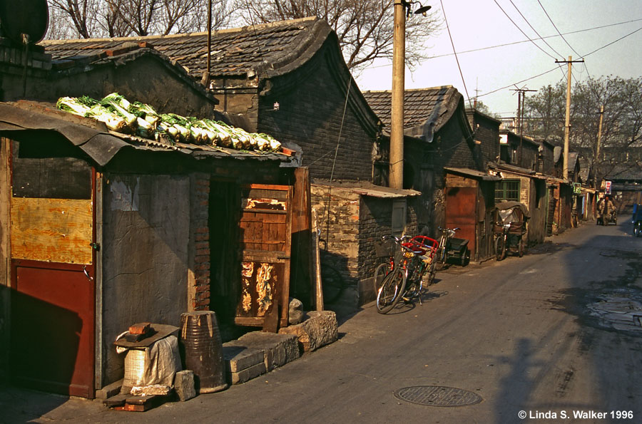 Street Scene with Cabbage on a Roof, Beijing, China