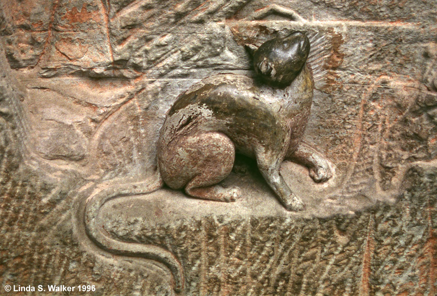 Stone Cat, Dazu, China