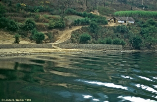 Li River ripples