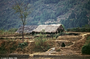 Li River village