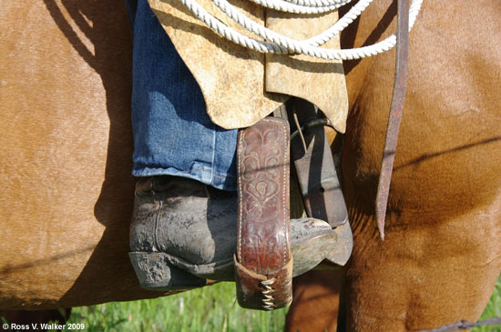 Working cowboy boot, Ovid, Idaho