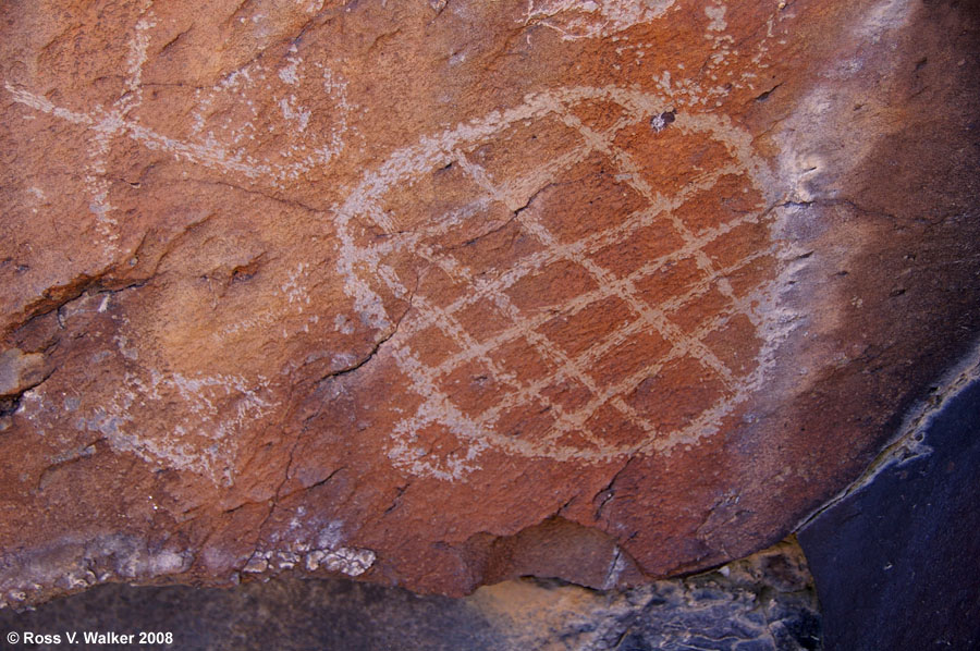 Desert tortoise petroglyph - 17 Mile Point, Mojave National Preserve, California