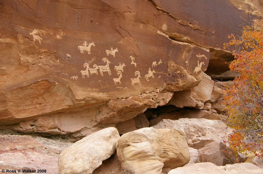 Petroglyphs, Wolfe Ranch, Arches National Park, Utah