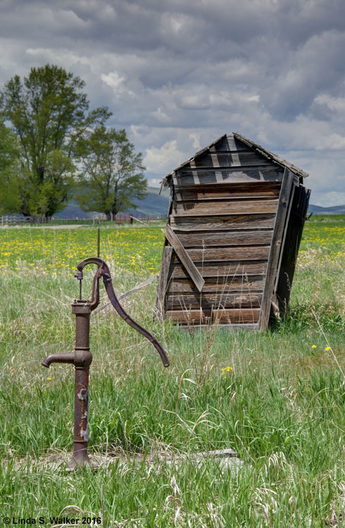 Outhouse and hand pump at the Amos Wright cabin in Bennington, Idaho.