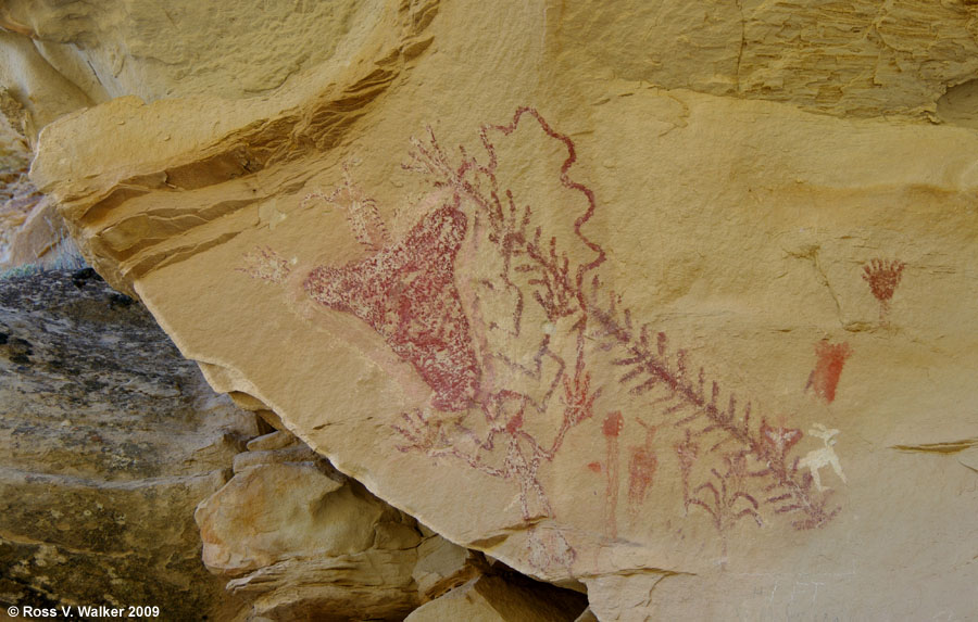 Anthropomorph figures, corn, and other pictographs, Canyon Pintado, Colorado