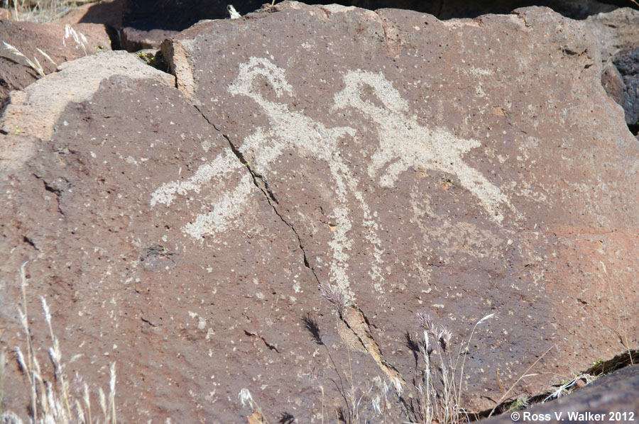 Bighorn sheep petroglyphs, Coso, California