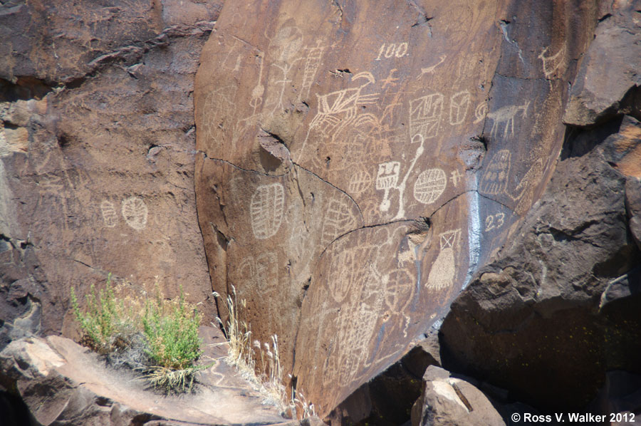 Coso petroglyph panel, China Lake, California