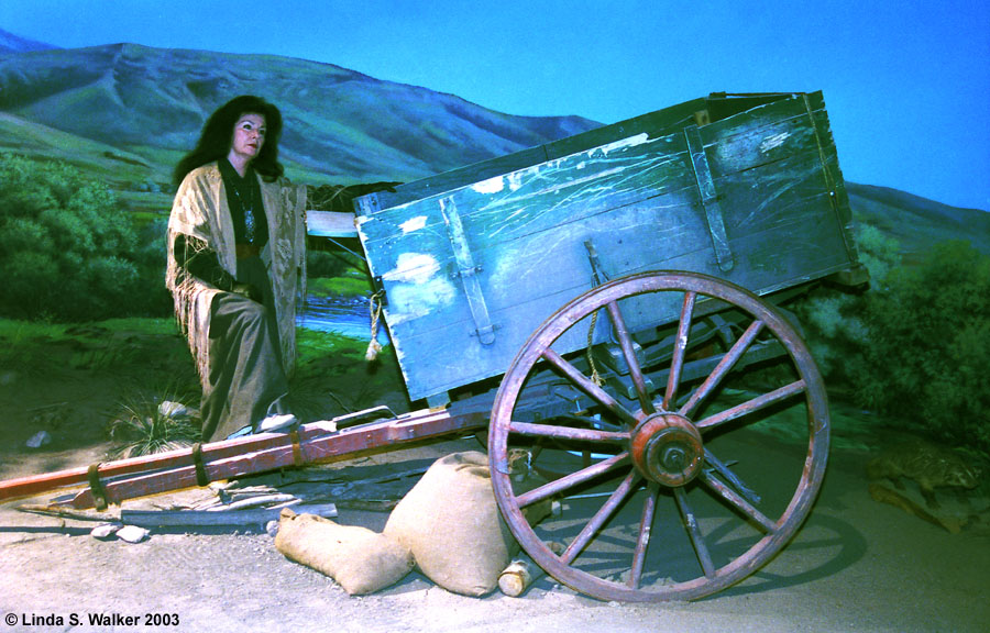 An actress with a handcart at the National Oregon California Trail Center.