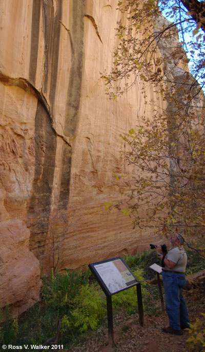Cliff with petroglyphs, Echo Park, Colorado