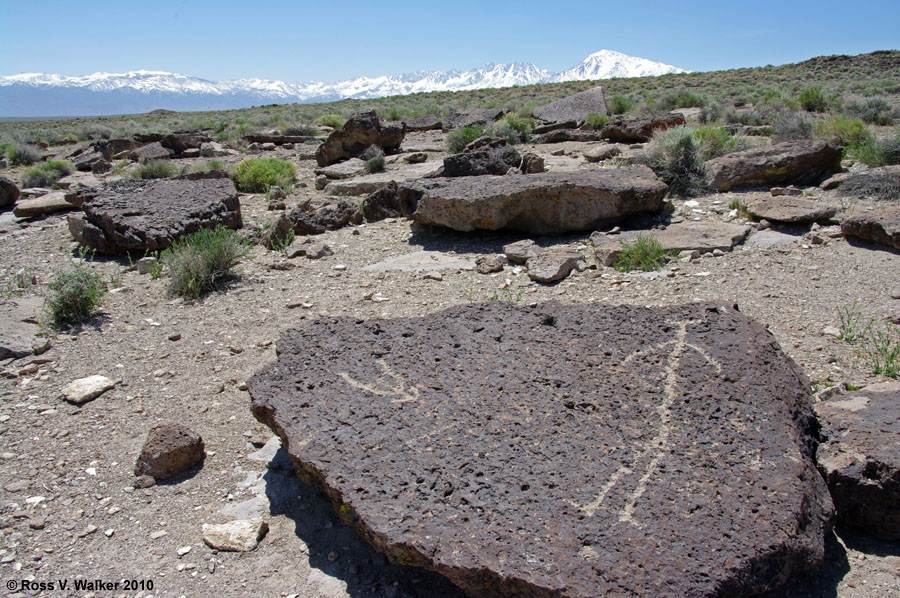 Fish Slough stick-man petroglyph on the volcanic tablelands