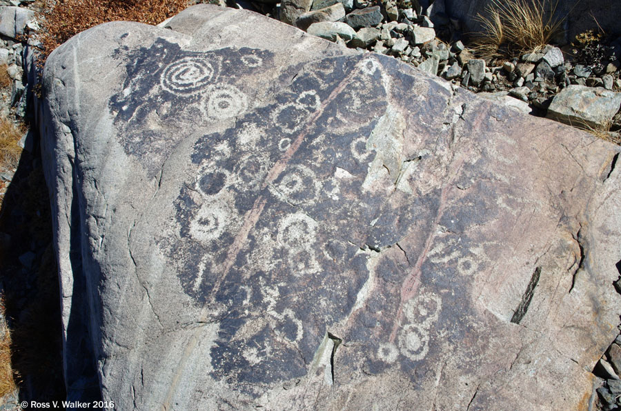 Meadow Lake petroglyphs in the northern Sierra, California