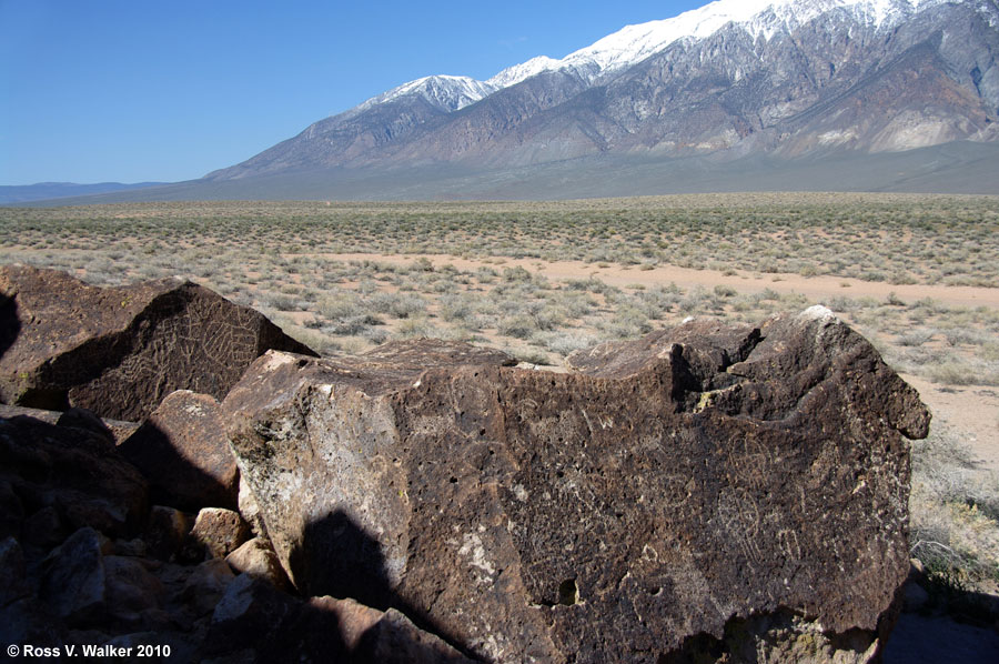 Red Canyon petroglyphs on the volcanic tablelands near Bishop, California
