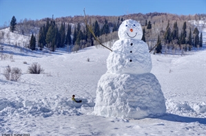 Logan Canyon Snowman