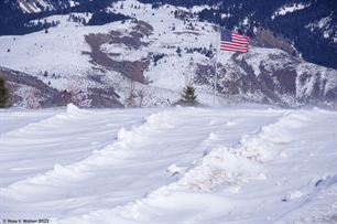 Flag in blowing snow