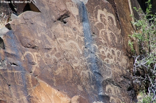 Coso bighorn rock, petroglyphs