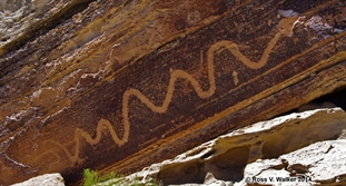 Molen Reef snake petroglyph
