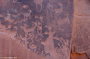 Moonflower Canyon petroglyphs