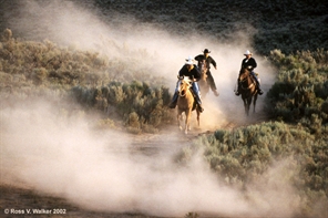 Posse, men on running horses