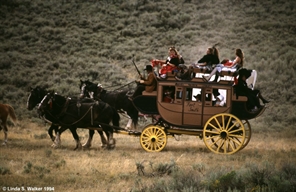 Stagecoach, Banks Valley, Idaho