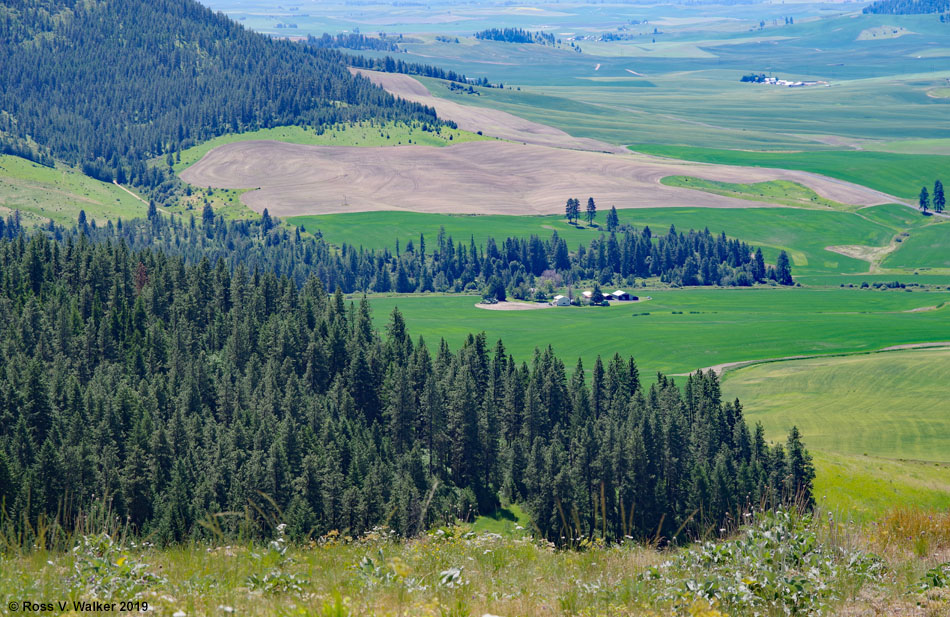 The eastern edge of the Palouse, Skyline Drive in McCroskey State Park, Idaho