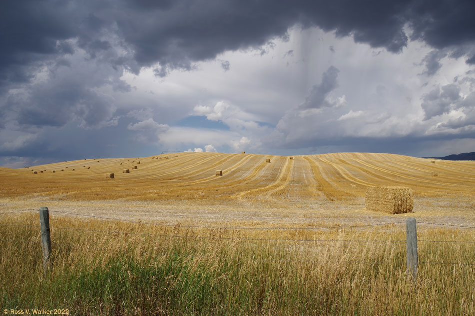 Storm clouds over a harvested field, Lago, Idaho