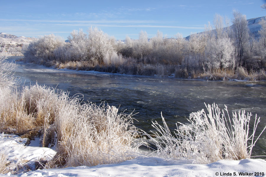 Hoarfrost lines the Bear River at Riverdale, Idaho