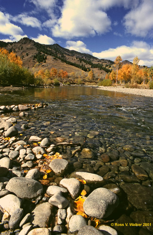Autumn on the Big Wood River, Sun Valley, Idaho