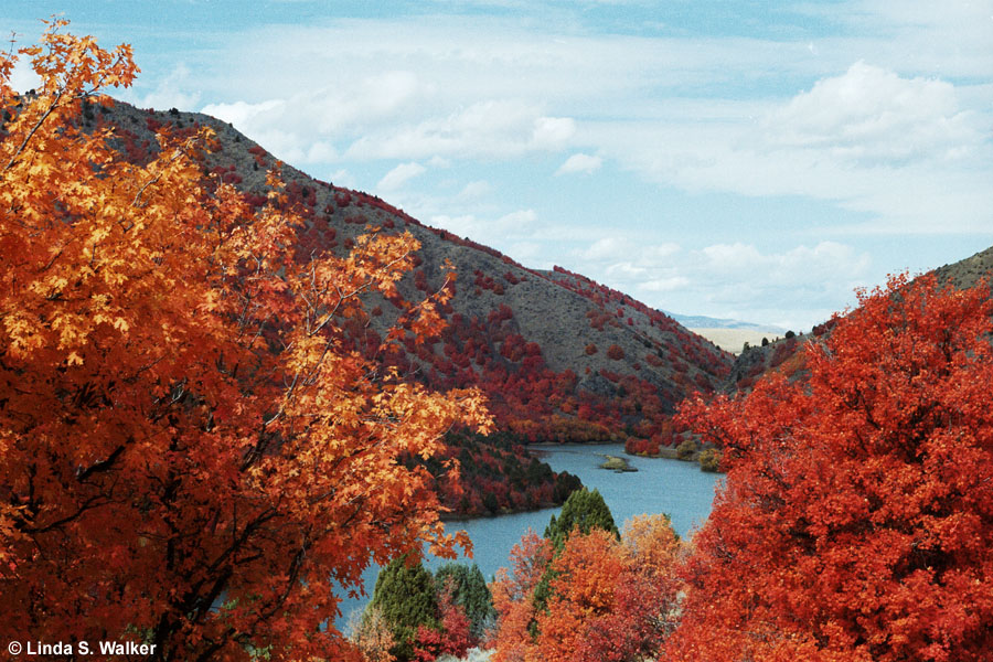 Oneida Reservoir Autumn, Idaho
