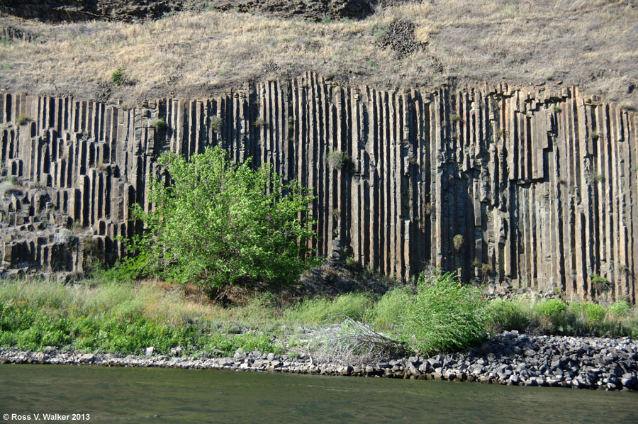 Basalt columns on the Snake River shore near Lewiston, Idaho