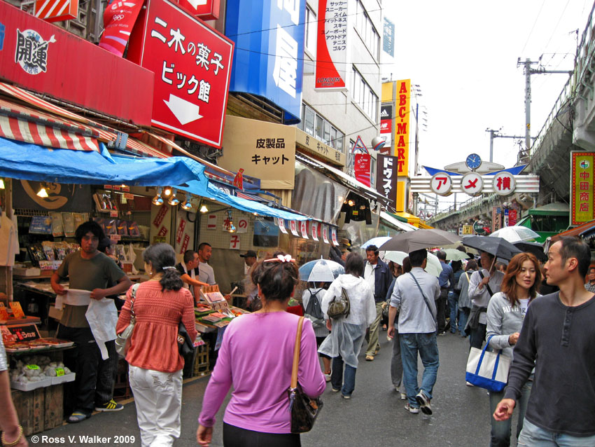 Ameyoko Market, Tokyo, Japan