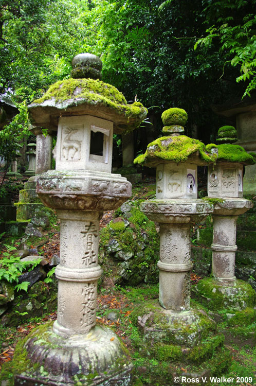 Stone lanterns, Kasuga Shrine, Nara, Japan