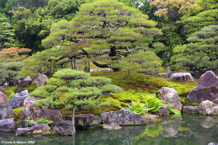 Pond and trees at Nijo Castle, Kyoto, Japan