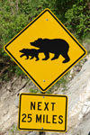 Bear crossing sign