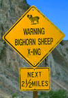Big horn sheep crossing sign