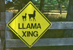 Llama crossing sign