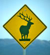 Elk Crossing sign