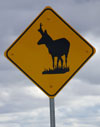 sign_050210_796.jpg