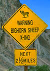 sign_bcr11.jpg