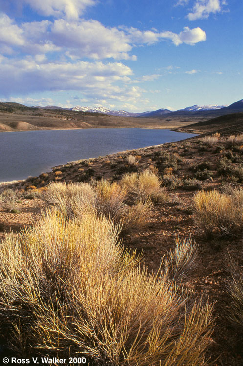  Illipah Reservoir, near Ely, Nevada