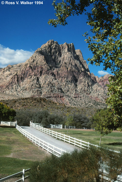 Spring Mountain Ranch State Park, Nevada