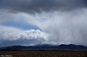 Nevada Storm