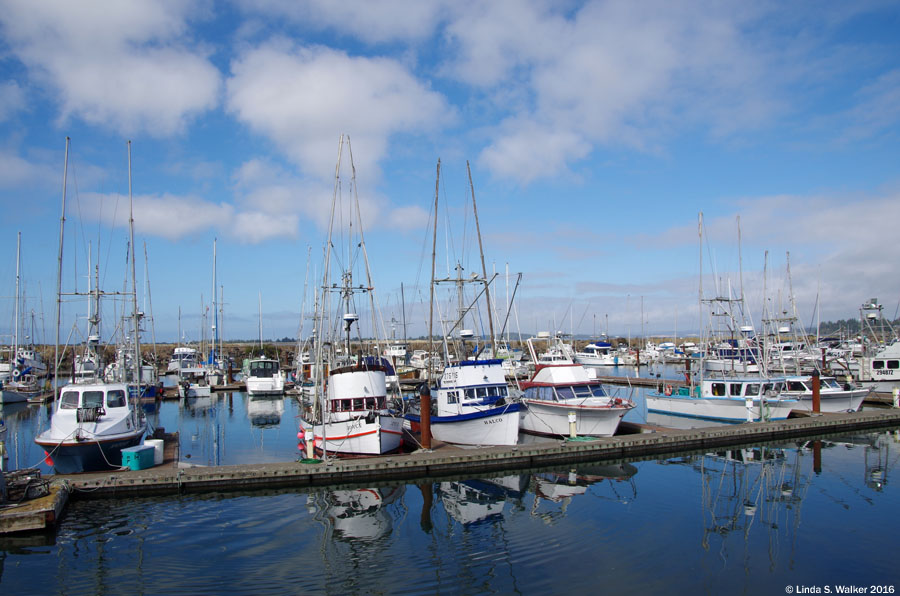 Boats in the marina at Charleston harbor, Oregon