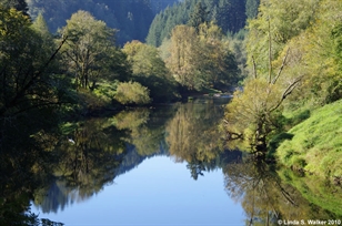 Alsea River, Oregon