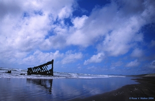 Peter Iredale shipwreck, Oregon