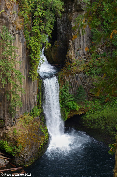 Toketee Falls, on the North Umpqua River, drops from a notch in Oregon.