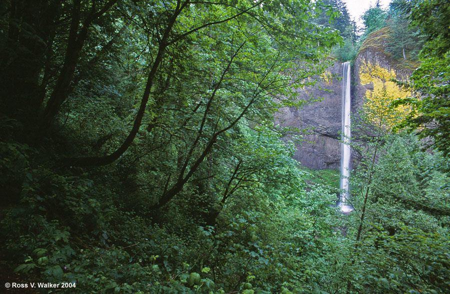 Wahkeena Falls, Columbia River Scenic Byway, Oregon
