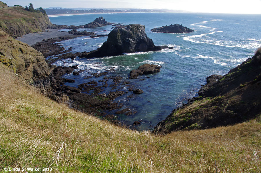 Tidepools From Yaquina Head Oregon